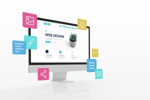 professional web development services in the USA