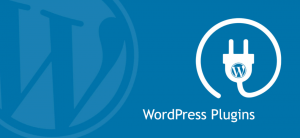 Mastering WordPress Maintenance: Must-Have Plugins and Care Plan Benefits