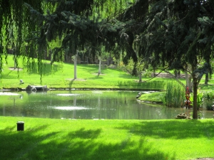 Natural Swimming Ponds Colorado