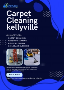 Do it Yourself or Hiring Professional Carpet Cleaner in Kellyville: Who Will Come Out as Winning? 