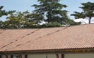 What To Do When Your Roof Leaks: Roof Repair Contractor In Singapore