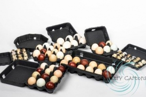 Egg Cartons: Protecting Freshness and Quality with Poultry Cartons