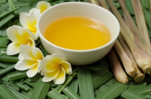 Citronella Oil Processing Plant - Business Plan, Project Report, and Raw Materials Requirement