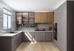 Top Modular Kitchen Cabinet Colors for Trendy Homes in Noida