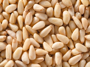 Pine Nut Processing Plant - Comprehensive Business Plan, and Raw Materials Requirement