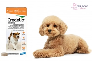 Credelio for Dogs: Key Benefits & Usage