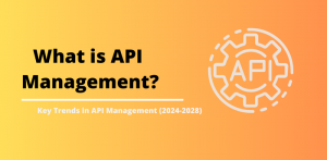 What is API Management 2024-2028? Trends, Challenges, and Future Perspectives