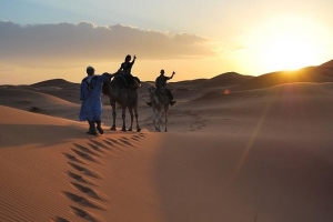 Choose a Reliable Tour Operator for the Best Sahara Desert Experiences