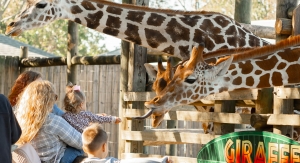 Discover Gulf Breeze Zoo & Gulfarium Marine Adventure Park