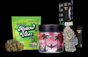 Needles, CA Cannabis Done Right: Visit The Healing Center Weed Dispensary