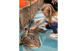 What to Know Before Letting Kids Interact with Monitor Lizards