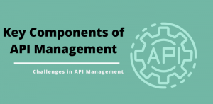 API Management: A Comprehensive Guide