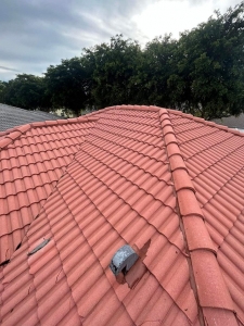 Roof Wash Services in Winter Springs, FL: Keep Your Roof Looking Like New