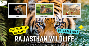 Rajasthan Wildlife Awaits: Winter Safaris in the Land of Kings