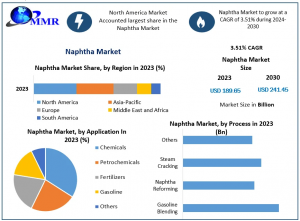 Naphtha Market Metrics Matrix: Exploring Size, Share, Revenue, and Statistics Overview | 2024-2030