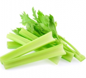 Celery Processing Plant Project Report 2024, Project Economics and Investment Opportunities