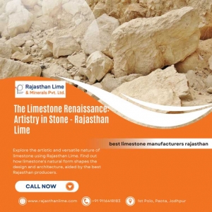 The Limestone Renaissance: Artistry in Stone -  Rajasthan Lime