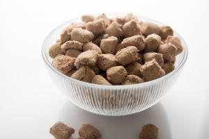 Freeze-Dried Pet Food Market Size, Industry Trends 2024 to 2032