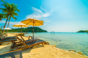 Top Attractions and Activities You Must Experience in Goa