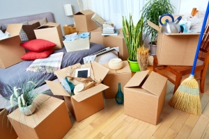 Comprehensive Guide to Choosing the Best Removal Company for Your Needs