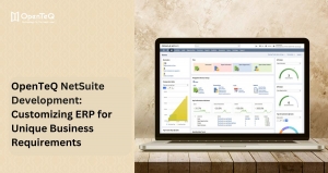 OpenTeQ NetSuite Development: Customizing ERP for Unique Business Requirements