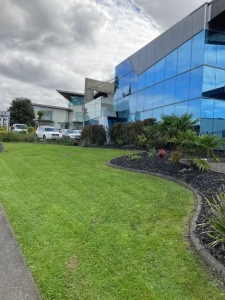 How Often Should I Schedule Garden Maintenance in Auckland?