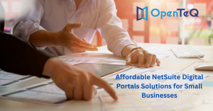 Affordable NetSuite Digital Portals Solutions for Small Businesses – OpenTeQ