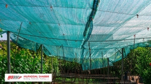 Why Shade Netting Is Essential for Dubai's Harsh Climate