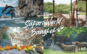 Unleashing Adventure at Safari World Bangkok: A Complete Guide to Thailand's Wildlife Wonderland