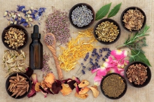 Ayurvedic Medicine Manufacturing Plant Setup Report 2024: Business Plan, Cost and Revenue