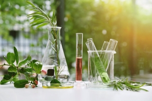 Natural & Organic Cosmetics Manufacturing Plant Report 2024: Machinery Requirements and Cost Involved