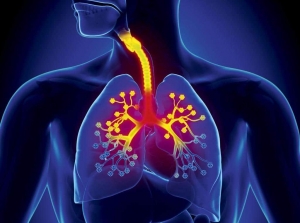 Respiratory Tract Infection Treatment Market: A Breath of Fresh Air for the Pharmaceutical Industry