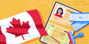 Recent Improvements in the Processing Time and Approval Rates for Student Visas to Canada  Introduction