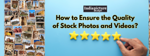 How to Ensure the Quality of Stock Photos and Videos?