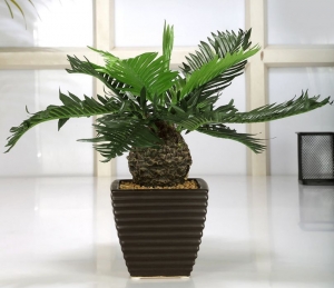 How to Choose the Right Artificial Plants for Your Home