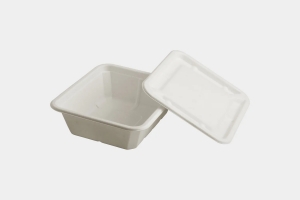 Why Biodegradable Food Containers Are Essential for Catering and Events