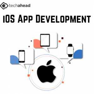 The Power of Partnering with an iOS App Development Company