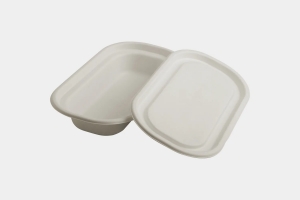 Bagasse Food Packaging: The Sustainable Alternative to Plastic