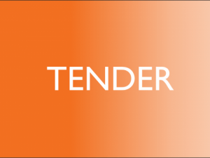 10 Common mistakes to avoid when applying for a govt. tender