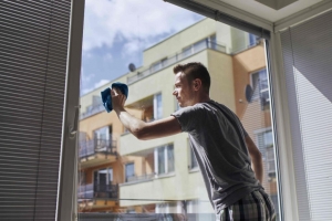 Windows Cleaning Service