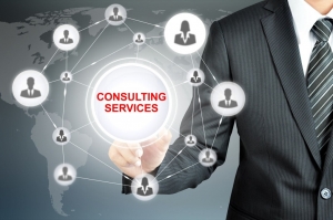 Consulting Services by PRAXIS Coaching Solution: Empowering Businesses and Individuals