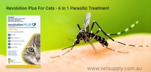 Revolution Plus For Cats- A Powerful 6 In 1 Parasitic Treatment