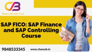 SAP FICO: SAP Finance and SAP Controlling Course
