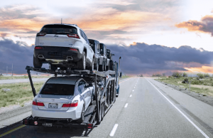 How to Choose the Best Expedited Car Shipping Services in South Carolina