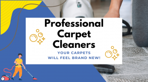 What Are the Top Benefits of Regular Carpet Cleaning?