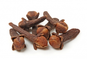 Clove Processing Plant Report, Project Economics, Requirements and Cost Analysis