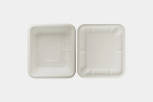 How Biodegradable Food Containers Help Maintain Freshness and Quality