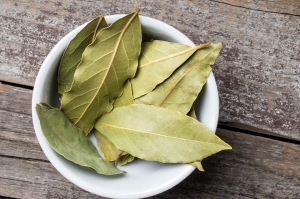 Bay Leaf Processing Plant Project Report 2024: Comprehensive Business Plan, and Manufacturing Process