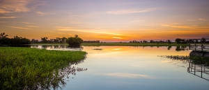 Kakadu in the Wet: Top Adventures to Dive into Lush Landscapes and Culture