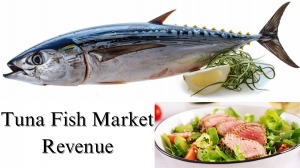 Tuna Fish Market Revenue, Size, Share, Trends: Growth and Forecast to 2032